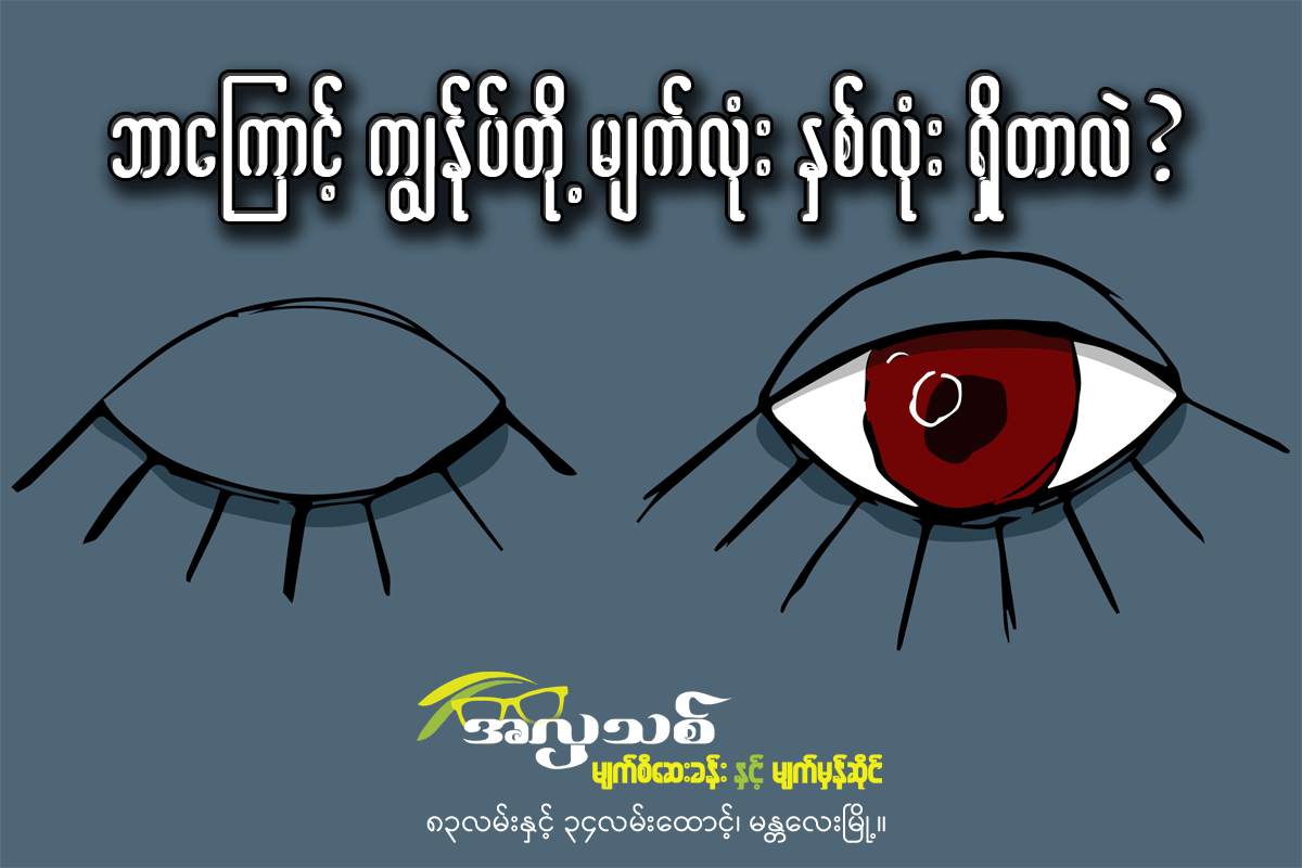 လူသားတွေမှာ ဘာကြောင့်မျက်လုံးနှစ်လုံးပါတာလဲ?